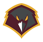 air force.png