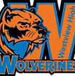 Millard South High School Football Opponent Logo